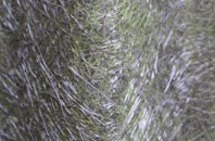 Hempnall Green fibreglass roof work